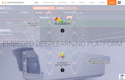 ディープインサイト